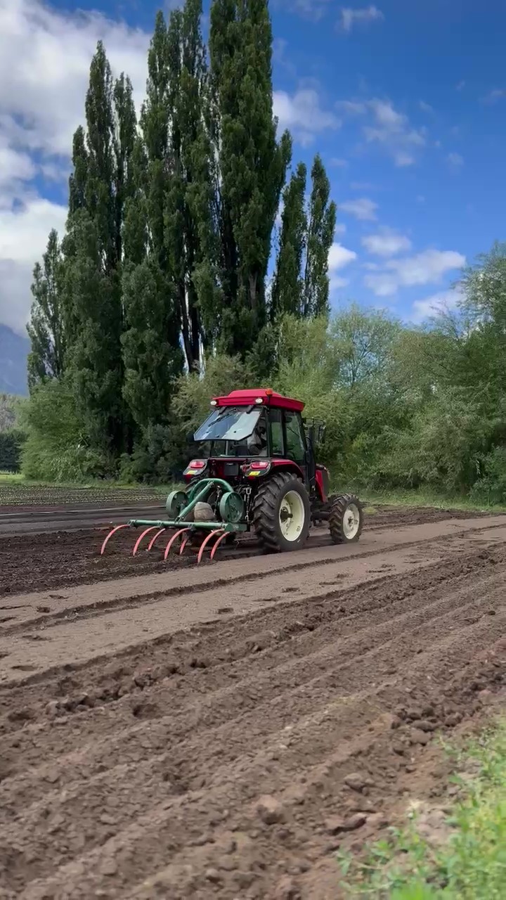 Tractor Agrícola RK704C - Imagen 3