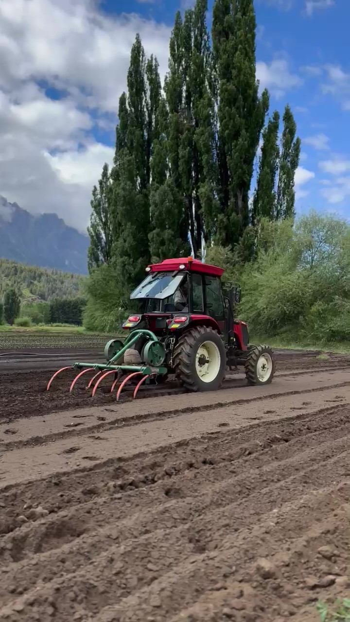 Tractor Agrícola RK704C - Imagen 4